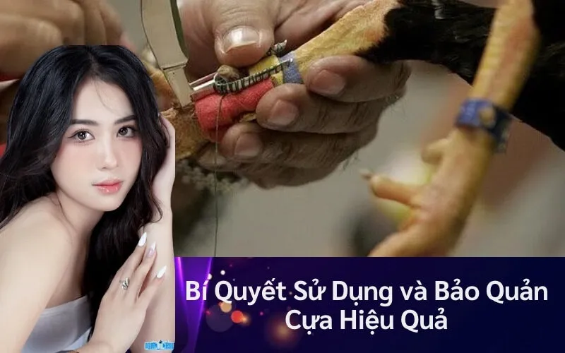 Bí Quyết Sử Dụng và Bảo Quản Cựa Hiệu Quả