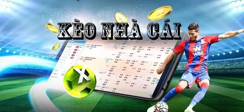 Dễ dàng đọc hiểu kèo và tỷ lệ cược thể thao cùng Dom88