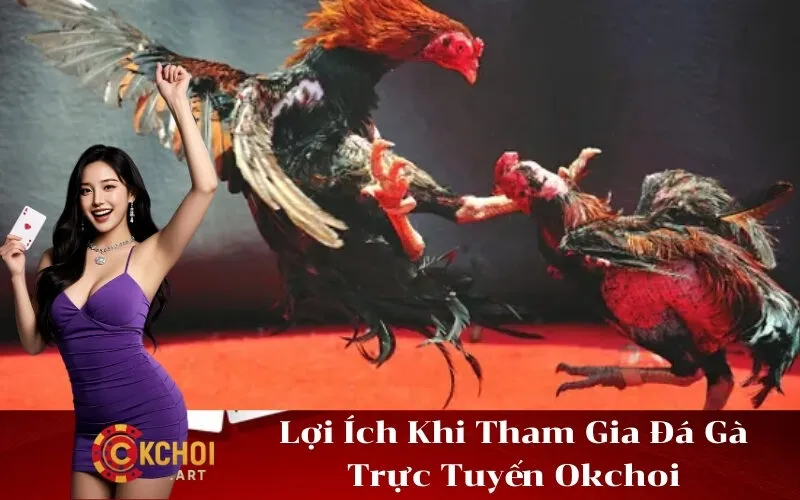 Lợi Ích Khi Tham Gia Đá Gà Trực Tuyến Okchoi