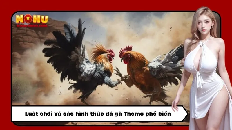 Luật chơi và các hình thức đá gà Thomo phổ biến