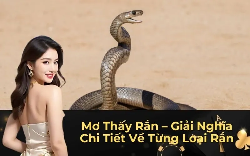 Mơ Thấy Rắn – Giải Nghĩa Chi Tiết Về Từng Loại Rắn