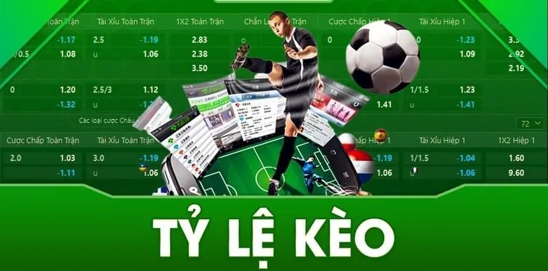 Nắm vững tỷ lệ cược 