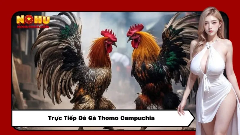 Trực Tiếp Đá Gà Thomo Campuchia