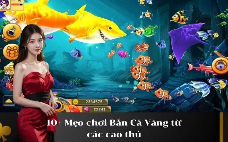 10+ Mẹo chơi Bắn Cá Vàng từ các cao thủ