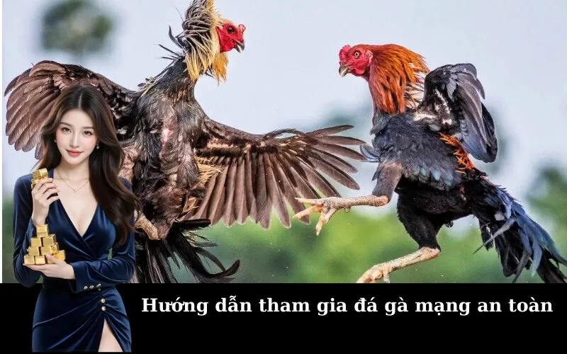 Hướng dẫn tham gia đá gà mạng an toàn