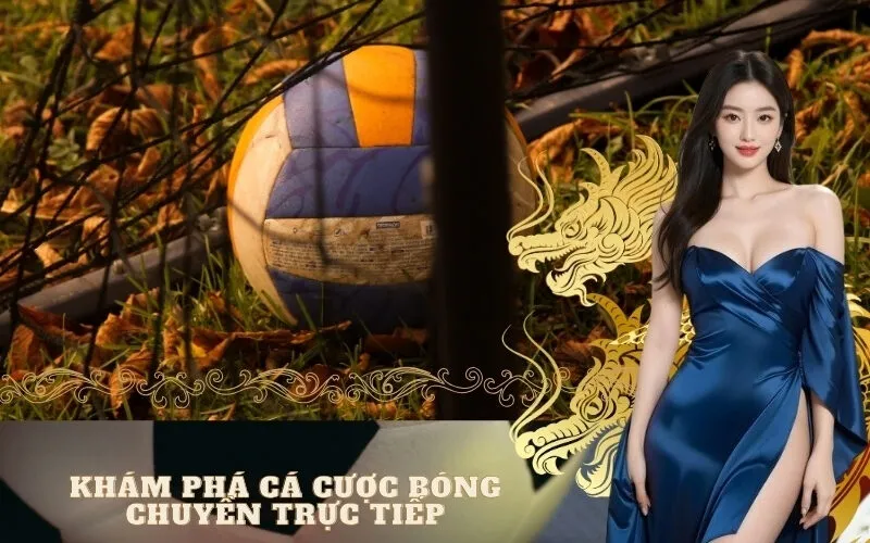 Khám Phá Cá Cược Bóng Chuyền Trực Tiếp (Live Betting)