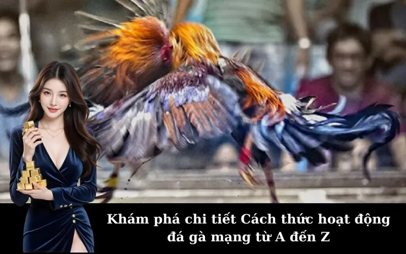 Khám phá chi tiết Cách thức hoạt động đá gà mạng từ A đến Z