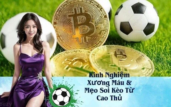 Kinh Nghiệm Xương Máu & Mẹo Soi Kèo Từ Cao Thủ