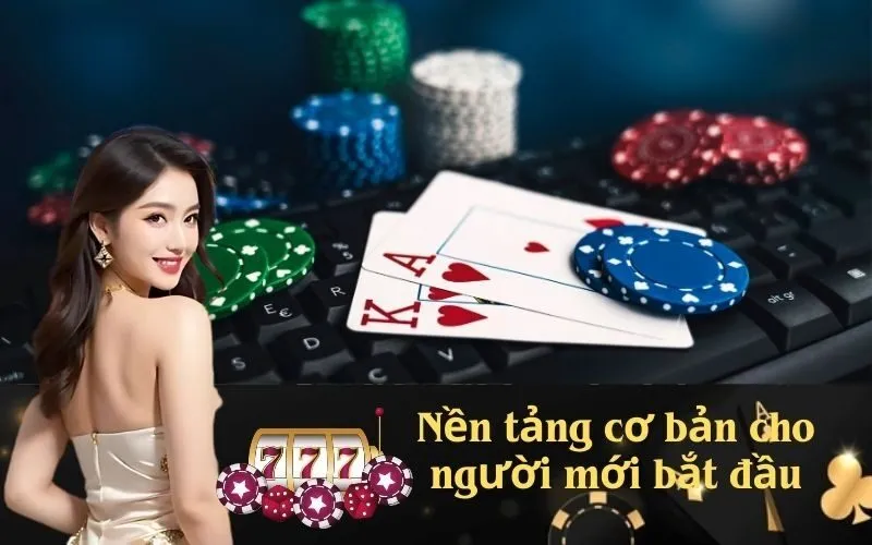 Nền tảng cơ bản cho người mới bắt đầu