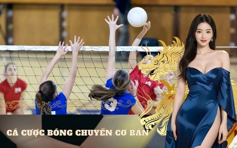 Tìm hiểu về cá cược bóng chuyền cơ bản